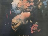 une affiche de cinéma représentant un homme embrassant une femme, une rose à la main