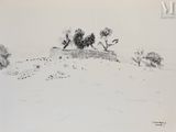 dessin représentant un paysage avec des arbres et une colline au loin