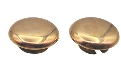 une paire de boutons en laiton sur fond blanc