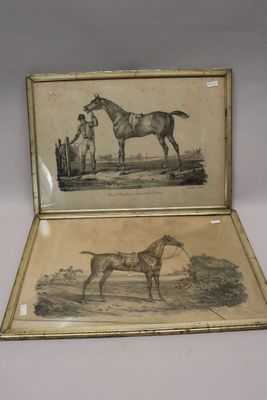 an old picture of a horse and a man with a horse in a field