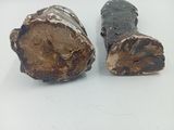 deux morceaux de bois coupés en deux