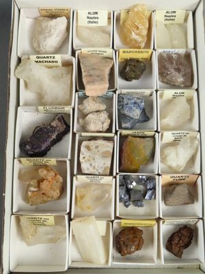 tout un tas de roches différentes dans une boîte