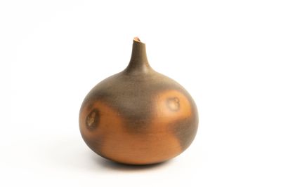 an image of a brown vase on a white background