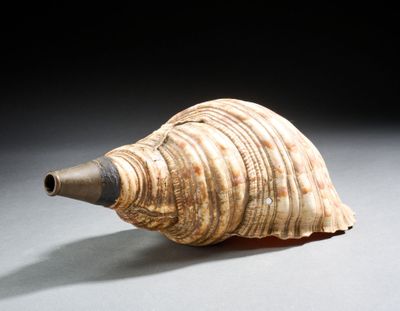 un coquillage d'où sort un tuyau, posé sur une table