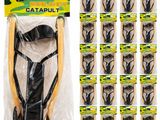 un paquet de frondes dans un sac en plastique et un paquet de frondes dans un sac en plastique