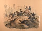 Photo 1/1 du lot