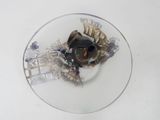 a glass plate with a picture of a fish on it