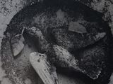une photo en noir et blanc d'une banane dans un bol