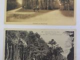 two black and white photographs of a dirt road and trees