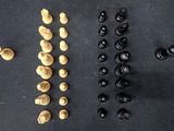 a close up of a bunch of chess pieces on a table