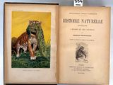 un livre ouvert sur lequel figurent un tigre et un singe