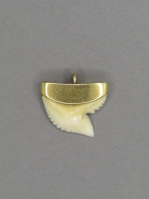 une photo d'un pendentif en forme de dent de requin plaqué or posé sur une surface grise