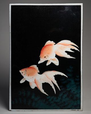 two goldfishs on a black background with a black background