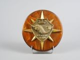 plaque en bois ornée d'une étoile dorée surmontée d'une couronne