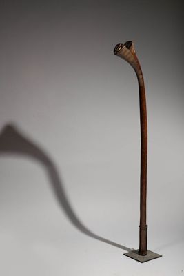 an image of a walking stick casting a shadow on a white background