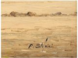 a painting of a bird sitting on the beach