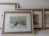 three framed pictures of a bird and a dog in a snowy field