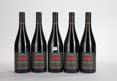 six bouteilles de vin rouge sont alignées sur une surface blanche