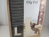 la boîte est ouverte pour montrer ce que contient le City Cat