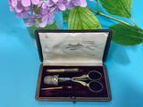 two pairs of scissors in a case next to a purple flower
