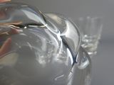 une personne en train de verser de l'eau dans un pichet en verre transparent