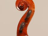 a close up of the back of a violin with a fiddle in the foreground