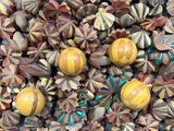 beaucoup de perles en bois qui traînent par terre