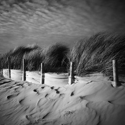 Daniel SOHIER Xxe. Ganivelles.Tirage original signé et numér…