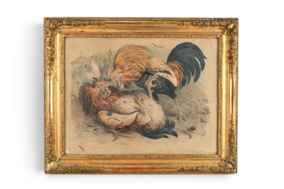 tableau représentant un coq et un canard dans un cadre doré