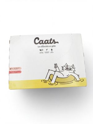 le chat est allongé sur la boîte d'herbe à chat