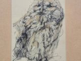 drawing of an owl sitting on the ground in front of a wall