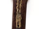 a wooden plaque with a bird ' s head hanging on it