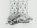 a drawing of a dead animal laying on the ground