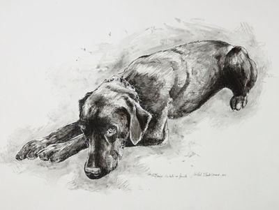 dessin représentant un chien allongé par terre, la tête posée sur le sol