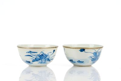 une paire de bols bleus et blancs ornés de motifs représentant des oiseaux et des fleurs