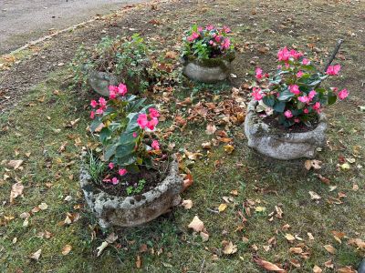deux pots en ciment remplis de fleurs, posés sur l'herbe