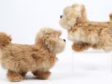 deux petites peluches posées sur une chaise blanche
