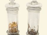two glass jars with plants in them sitting on a table