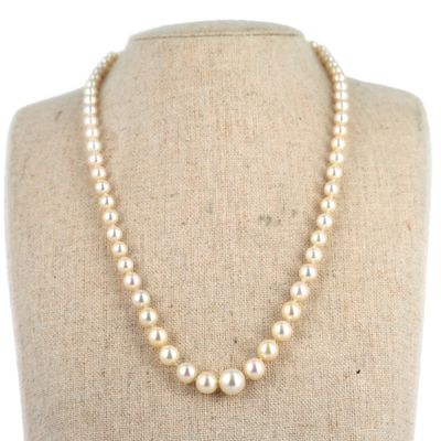 un collier de perles blanches sur un mannequin mannequin mannequin mannequin mannequin mannequin mannequin mannequin mannequin mannequin