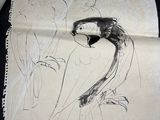 a drawing of two birds on a piece of paper