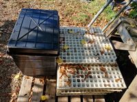 Lot de cagettes et plateaux (plaques de 150 et 220 trous). (photo 3)