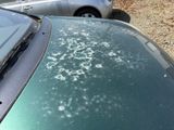 cars parked on the side of the road with a lot of snow on the windshield