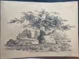 pencil drawing of a tree in a rocky landscape with rocks