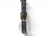 leather dog collar with brass buckle