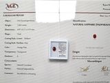 un certificat sur lequel figure l'image d'une pomme rouge