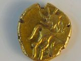 an image of a gold coin with a horse on it