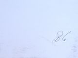 Photo 3/4 du lot
