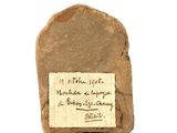 a rock with a piece of paper on top of it