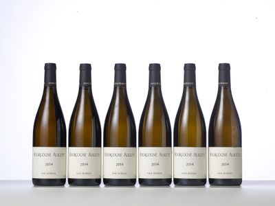 six bottles of wine lined up in a row on a table