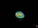 an oplite in the dark with a black background